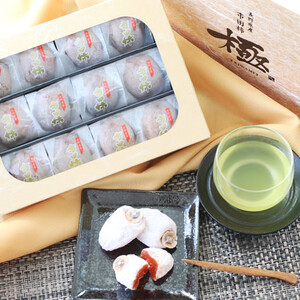 信州 特産品 市田柿 極 贈答用 2Lサイズ 12個入 〈2027年1月中旬～2月下旬発送〉|長野県 飯田市