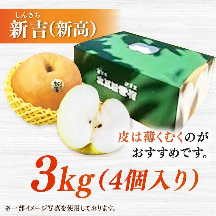 【2026年発送分 先行予約】【化粧箱入り】新吉（新高）4個入（約3kg） / 佐賀県 / 大川三世代 [41AEAB009]