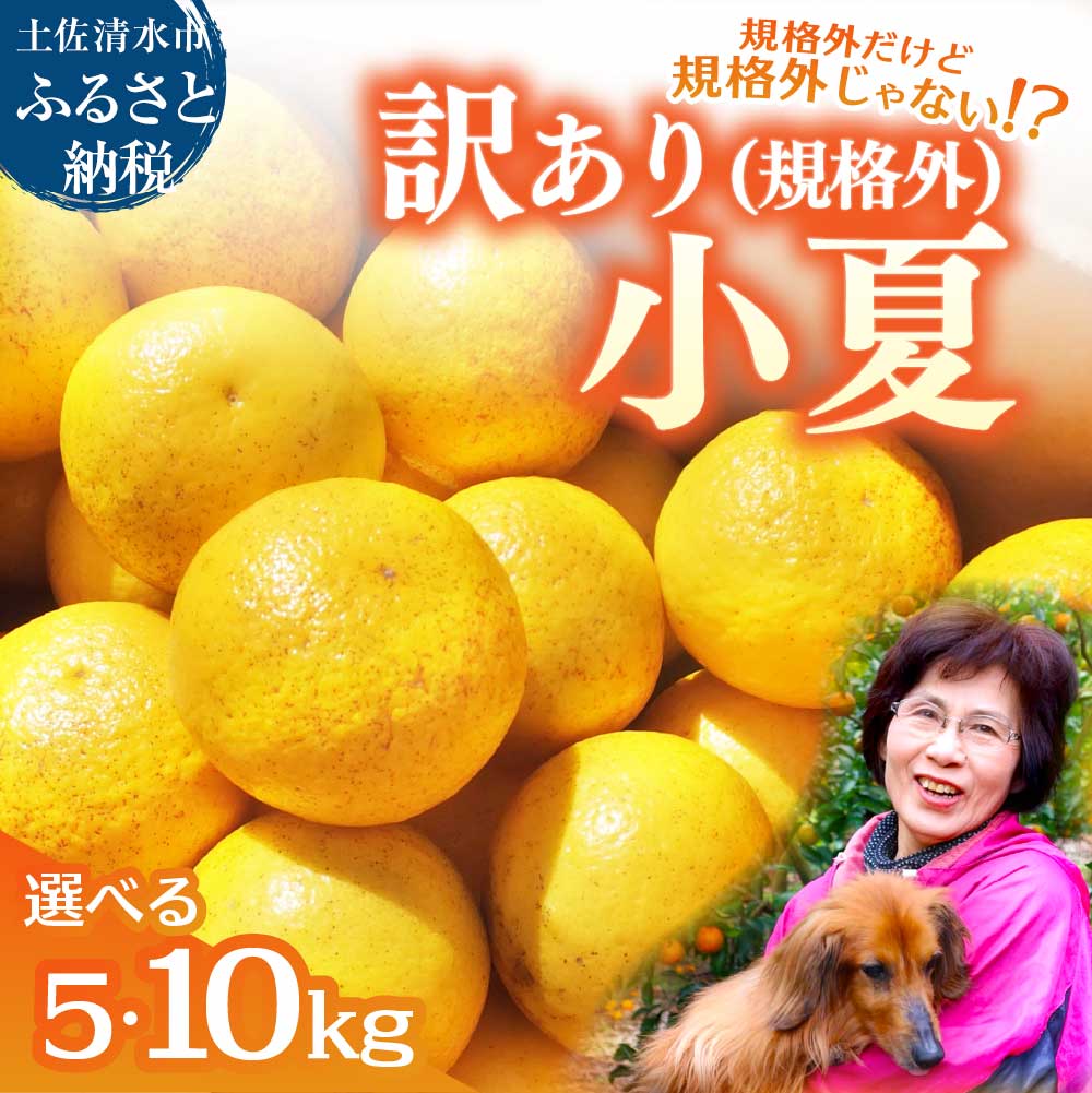 【ふるさと納税】R8.4月中旬以降発送 規格外だけど規格外じゃない!? 訳あり 小夏 5kg 10kg 日向夏 みかん ミカン 柑橘 フルーツ 果物 果実 こなつ ニューサマーオレンジ 土佐小夏 とさ小夏 旬 おいしい ワケアリ 自宅用 土佐清水市 故郷納税 返礼品 高知 送料無料【R01487】