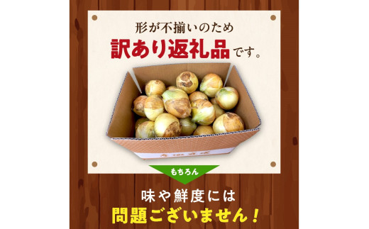 【訳あり】新たまねぎ　JA00063