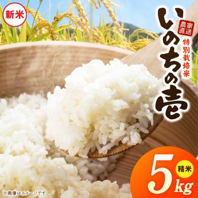 ふるさと納税 小牧市 【R8年産新米 先行受付】特別栽培米「いのちの壱」(5kg)<農家直送> [208K01]