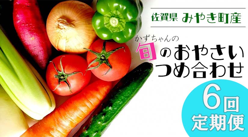 【ふるさと納税】【6回定期便】かずちゃんの朝採り新鮮野菜セット毎月お届け みやき町産（CC004)