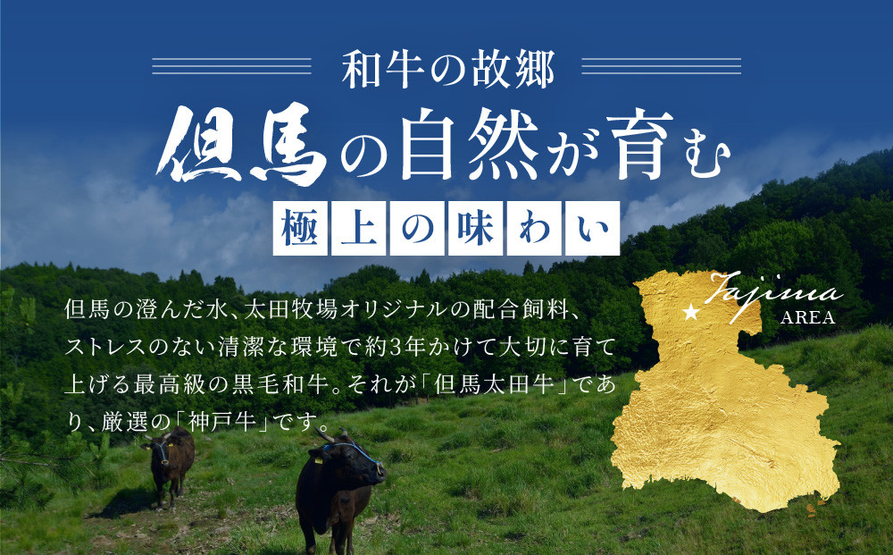 神戸牛 しゃぶしゃぶ・すき焼き用 かた・もも 500g KBS2