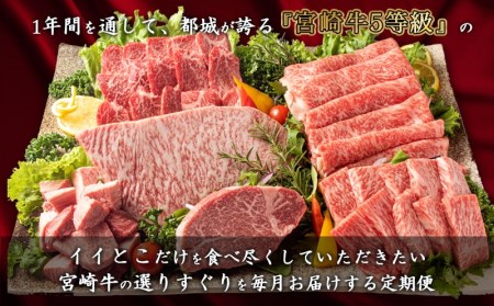 特選(A5)宮崎牛の贅を味わう (12ヶ月定期便)_TAH12-0102_(都城市) 宮崎牛 5等級 12ヶ月定期便 サーロイン芯スライス モモスライス シャトーブリアンステーキ 特上モモステーキ ロ