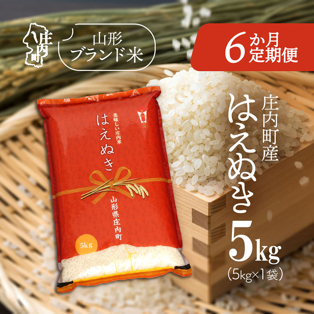 【定期便】【令和7年産/8年産】はえぬき 5kg×1袋×6ヶ月 毎月 5kg 山形県庄内町産 余目産 庄内米 ブランド米 米 コシヒカリの原点、亀の尾発祥の地 お米の定期便 甘み 粘り バランスの良い ごはん お弁当 家庭用【9月中旬発送】