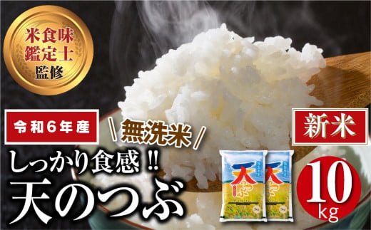 【 新米 】【 無洗米 】 令和6年産 田村市産 天のつぶ 10kg ( 5kg × 2袋 ) 先行予約 精米 白米 贈答 ギフト プレゼント 美味しい 米 kome コメ ご飯 ブランド米 精米したて お米マイスター 匠 食味鑑定士 福島 ふくしま 田村 安藤米穀店