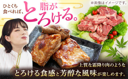 沖縄県産豚　豚足・ソーキ（スペアリブ）3kg