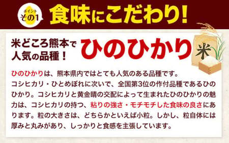 令和6年産 新米 早期先行予約受付中 無洗米 ひのひかり 10kg 《11月-12月より出荷予定》令和6年産 熊本県産 ふるさと納税 精米 ひの 米 こめ ふるさとのうぜい ヒノヒカリ コメ お米 お