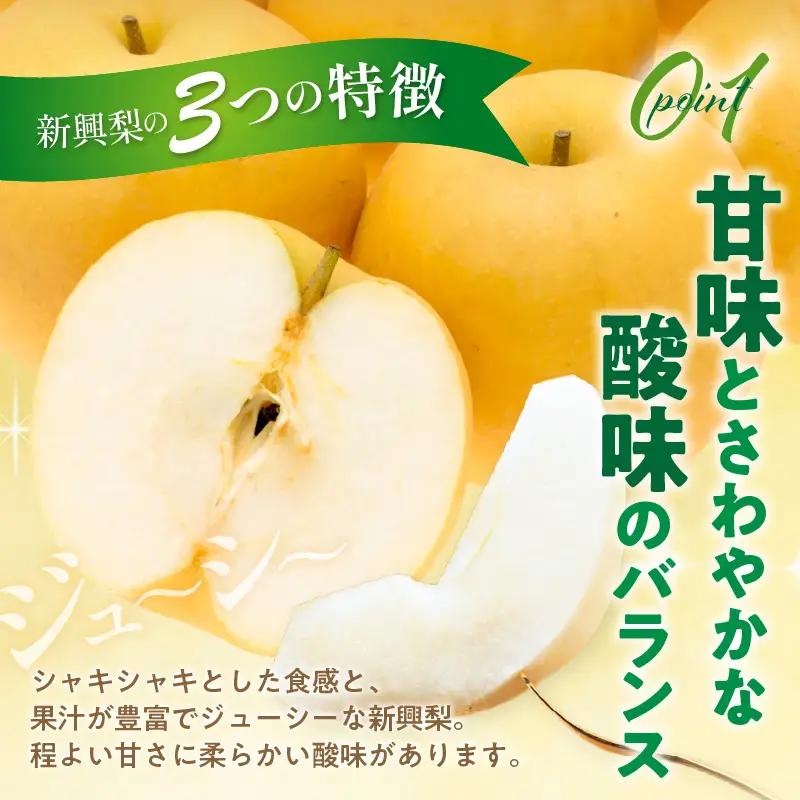 【先行予約／数量限定50】梨 新興梨 秀品 5kg（8～16玉入り）｜2026年10月下旬から順次発送