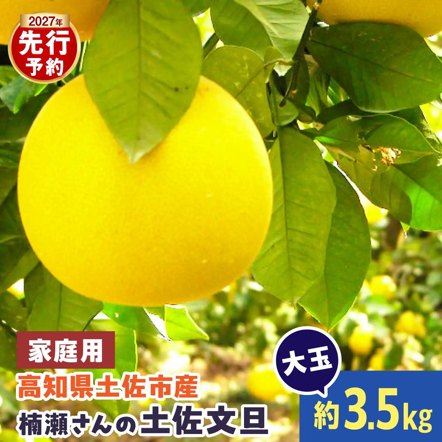 【先行予約】まる庄果樹園 楠瀬さんの土佐文旦 家庭用大玉 約3.5kg 2L〜4L〈2027年2月15日〜2027年4月5日発送〉[BQAF021]