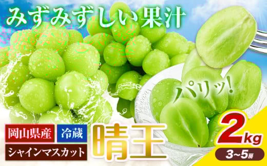 【2026年先行予約】ぶどう シャインマスカット 晴王 約2kg 3房-5房 岡山県産《2026年9月上旬-10月末頃出荷》 ハレノフルーツ マスカット 送料無料 岡山県 浅口市 フルーツ 果物 贈り物 ギフト 国産 岡山県産【配送不可地域あり】