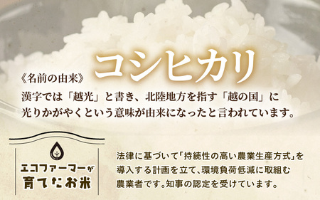 【先行予約】【令和7年産】定期便 ≪12ヶ月連続お届け≫  化学肥料不使用 特別栽培米 コシヒカリ 精米 10kg × 12回（合計120kg）※2025年10月上旬より順次発送 [aw010-p00