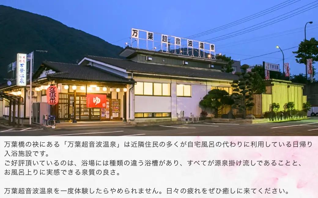 万葉超音波温泉 入浴券(大人1枚)＋115系電車車両1時間貸切プラン | 温泉 旅行 体験 千曲市 長野県 信州