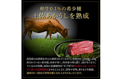 天下味 エイジング工法 熟成肉 土佐あかうし 特選赤身 牛 サイコロステーキ 500g×4 合計2kg エイジングビーフ 赤身 国産 あか牛 赤牛 肉 牛肉 和牛 人気 老舗焼肉店 冷凍 新鮮 真空パ