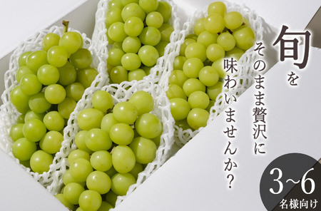甲州市産 シャインマスカット 4～5房入（約2.2kg）自然農法【2026年発送】（BNC）D-176 シャインマスカット フルーツ