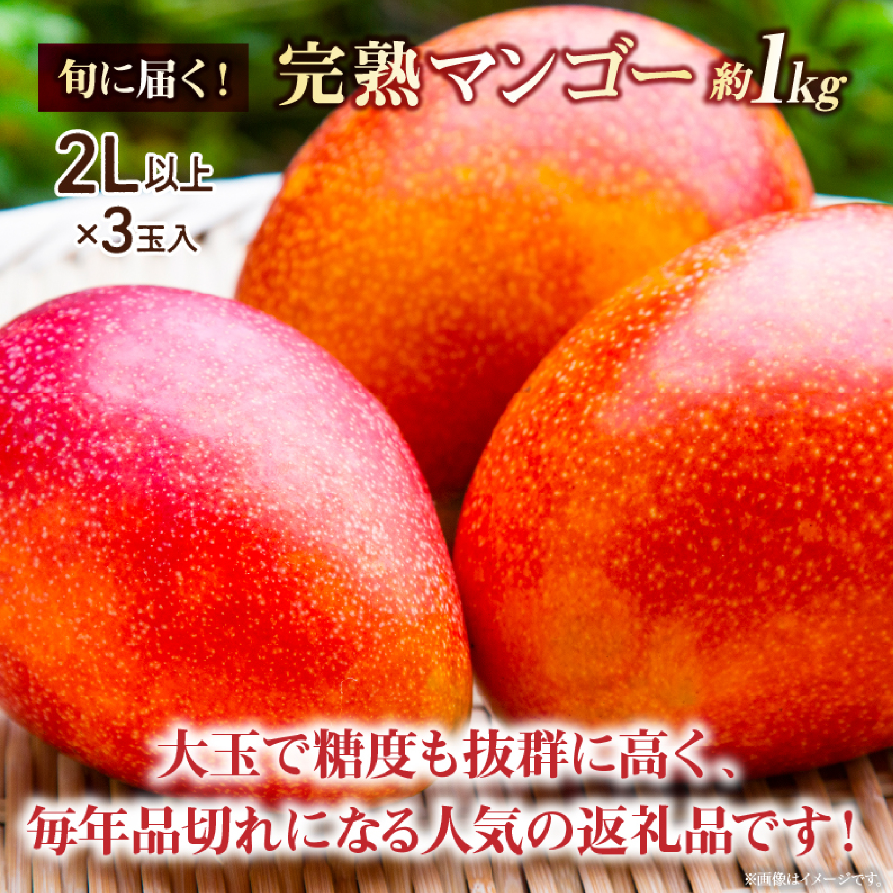 【数量限定・先行受付】厳選宮崎完熟マンゴーよくばり3玉 計1kg程度（フルーツ 2026 マンゴー 先行予約 完熟マンゴー 宮崎 小林市 果物 人気）