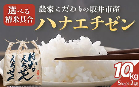 【令和7年産】坂井市産 ハナエチゼン10kg (5kg × 2袋) 【白米】 米 コメ お米 華越前 [C-10201_01]