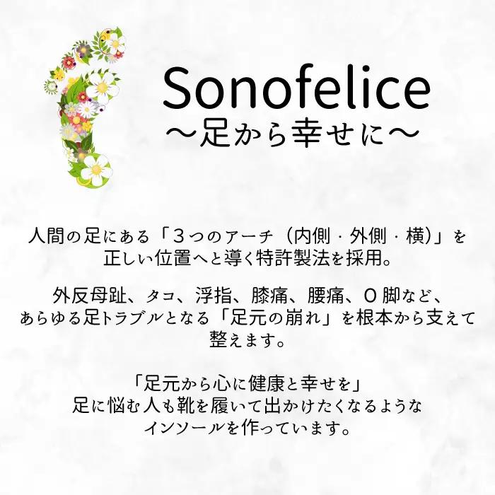 パンプス用インソール（L/Normal） パンプス ヒール 靴 中敷き 土踏まず 外反母趾 偏平足 腰痛 膝痛 O脚 浮指 ウオノメ レディース 広島県三原市 135004
