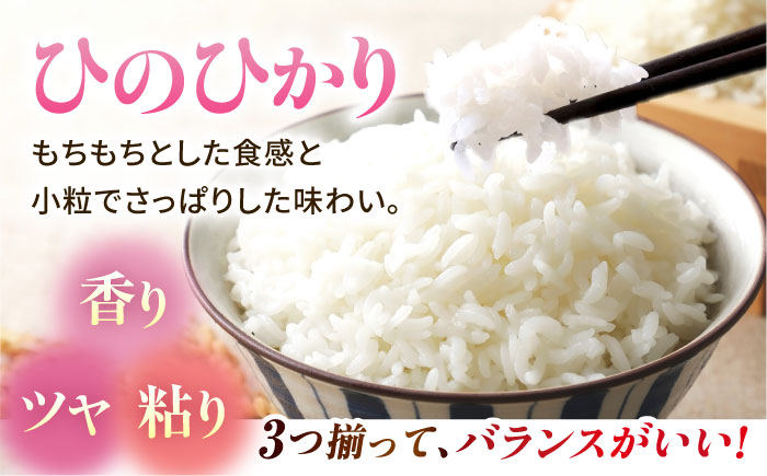 山鹿のお米 ヒノヒカリ 5kg×2【有限会社 あそしな米穀】 [ZBI012]