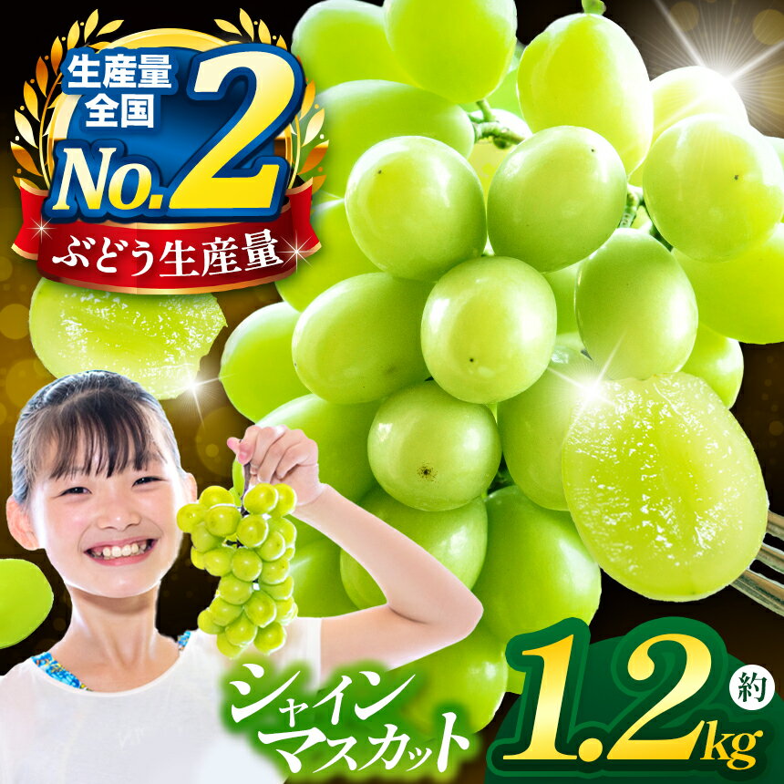 【ふるさと納税】【2026年9月下旬発送】先行受付 シャインマスカット 約1.2kg ［JAながの］｜果物 フルーツ 旬 ぶどう ブドウ くだもの 葡萄 長野県産 種なし 先行受付 数量限定 クール便 冷蔵便 産地直送 フルーツハリウッド 令和8年産