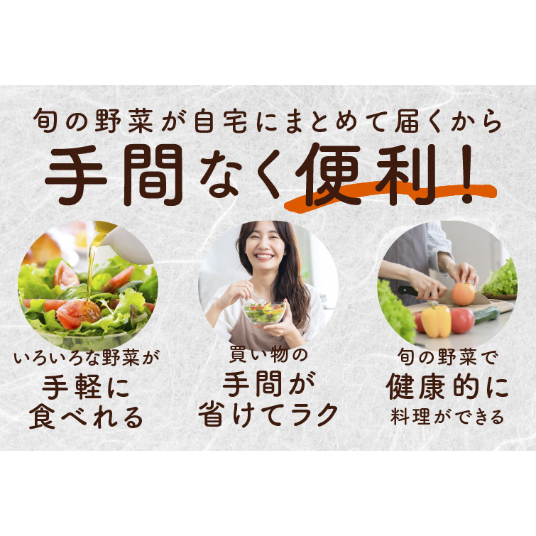 10種類の新鮮野菜 定期便 全4回 詰め合わせ 国産 冷蔵発送【毎月配送コース】 099Z185_イメージ5