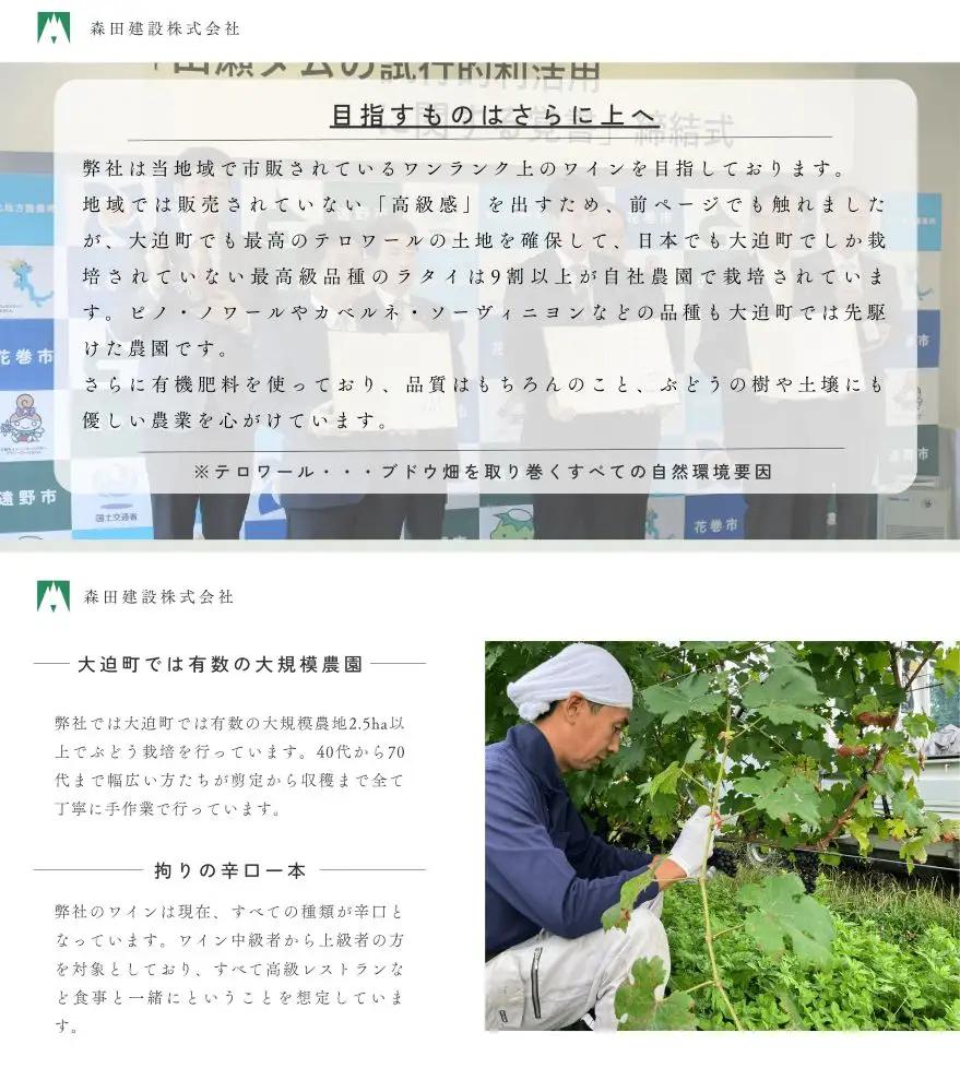 【数量限定】「早池峰の恵み」モリタワイン　ダム貯蔵熟成　赤・白ワイン 年代別飲み比べコンプリートセット 【2199】