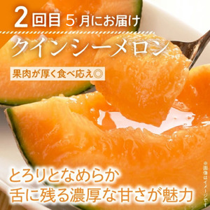 【茨城県メロン品評会赤肉部門最高金賞受賞】山一ファームのメロン『2ヵ月定期便』4月アンデス2玉・5月クインシー2玉