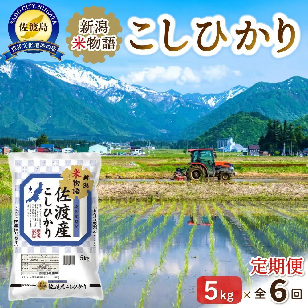 定期便 5kg 毎月6回 コシヒカリ 新潟米物語 | 新潟県 佐渡市