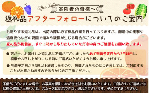 【全3回】紀州和歌山産旬のフルーツ定期便 (みかん・清見オレンジ・桃) / 果物 柑橘 オレンジ 定期便 人気 果物定期便 フルーツ定期便 みかん 桃 モモ もも おすすめ 【tkb381】