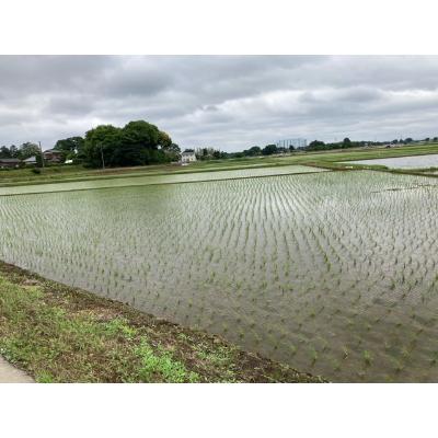 ふるさと納税 蓮田市 篠山堂　翁味噌セット(5種) |  | 02