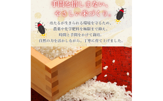 【3カ月定期便】ほたる米 10kg（茨城県共通返礼品・城里町産） / 米 こめ コメ お米 おこめ ほたる米 白米 精米 ごはん ご飯 令和7年産 10kg 定期便 茨城県 城里町 利根町