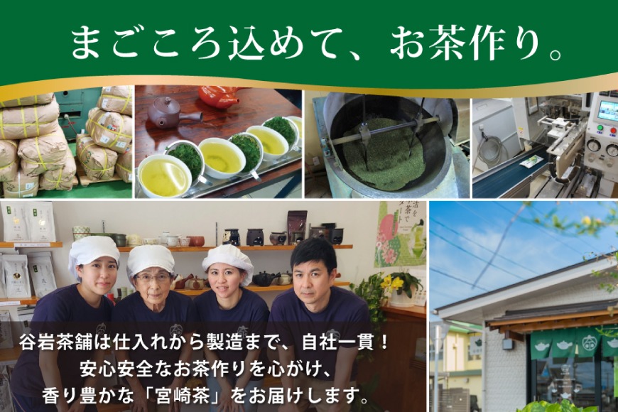 お茶 プレミアム ティーバッグ 露ぶせ 3g 12個 3袋 セット [谷岩茶舗 宮崎県 日向市 452061619] ティーパック 茶 緑茶 日本茶