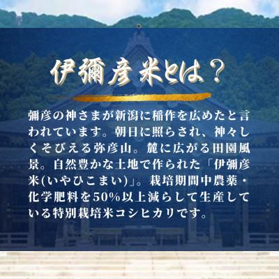 ふるさと納税 弥彦村 【彌彦神社奉納祭献上】「伊彌彦米」令和7年産特別栽培米弥彦コシヒカリ 新潟県 弥彦村 |  | 01