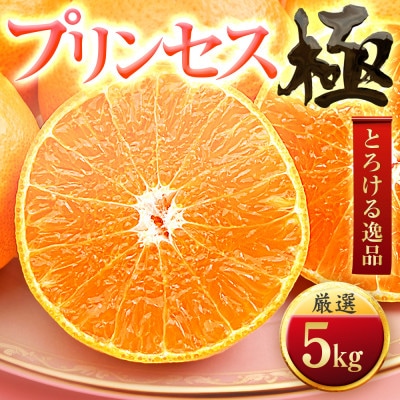 「新品種!!」【甘平×まどんな】愛果48号(紅プリンセスと同品種)【極】5kg【H49−92】【1621804】