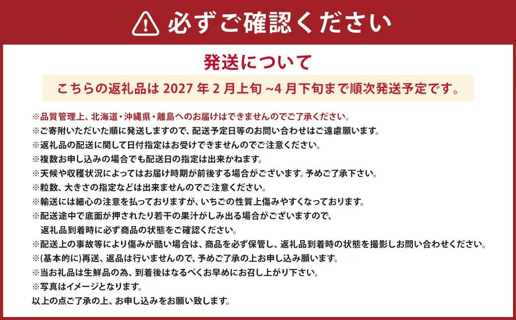 大粒あまおう 2パック あまおう いちご イチゴ 苺 果物 くだもの フルーツ【2027年2月上旬～4月下旬発送予定】