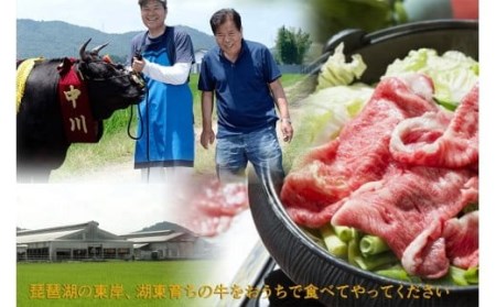 全国肉用牛枝肉共励会最優秀賞受賞中川牧場の近江牛モモステーキ3枚 計360g（株）高島屋洛西店 滋賀県 東近江市 B-E02 [高島屋選定品] 赤身 和牛 牛肉 ステーキ A5