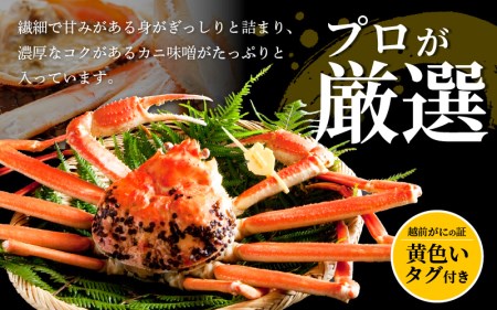 越前がに本場の越前町からお届け！越前がに浜茹で準極×1杯（生で1.4kg以上）【かに カニ 蟹】【3月発送分】 [e14-x011_03] 食べ方しおり付 福井県 雄 ズワイガニ ボイル 冷蔵 越前が