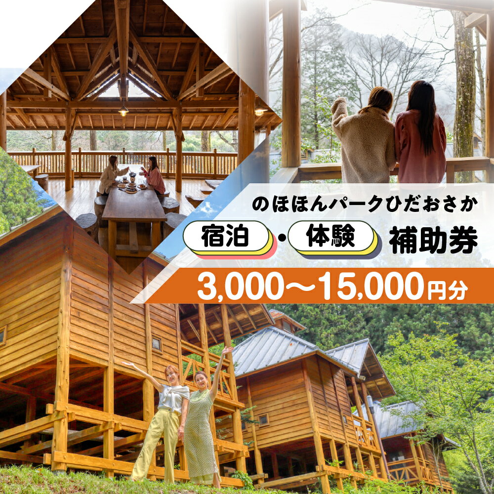 【ふるさと納税】【のほほんパークひだおさか】宿泊・体験補助券（3,000円分〜15,000円分）キャンプ 体験 アウトドア ログハウス バンガロー 旅行 下呂市 宿泊券 小坂 宿泊 岐阜県