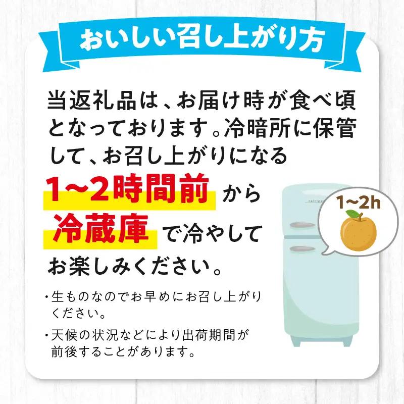【先行予約／数量限定50】梨 新興梨 秀品 5kg（8～16玉入り）｜2026年10月下旬から順次発送