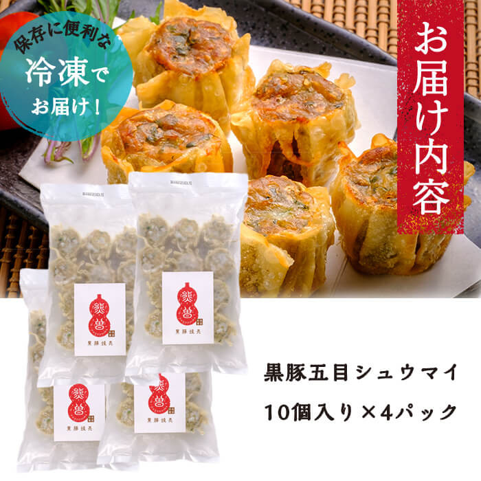 鹿児島県志布志市産黒豚使用 南国熊曽黒豚五目シュウマイ 計40個(10個x4パック) a3-180