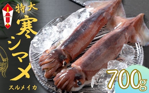 【のし付き スルメイカ丸ごと】朝どれ寒シマメ特大サイズ 丸ごと2杯セット 700g〜800g いか イカ スルメイカ 年末年始 お正月 御歳暮 ギフト 12月24日までのご注文で年内発送