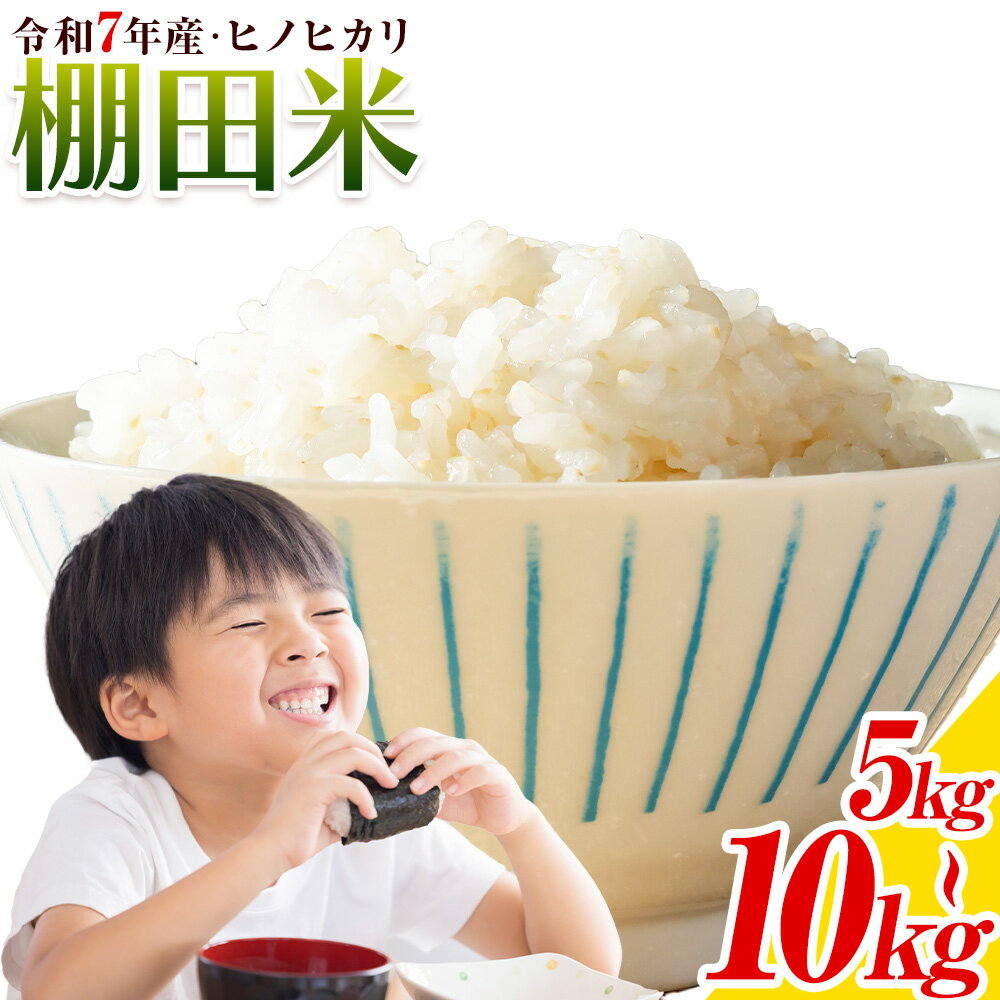 【ふるさと納税】令和7年産 ヒノヒカリ 棚田米 5kg 10kg《10月上旬-10月末頃発送》徳島県 佐那河内村 さなごうち 徳島 新米 ひのひかり ヒノヒカリ 5キロ 弁当 令和7年 棚田 精米 お米 2025年 白米 ごはん