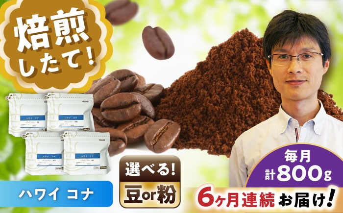 
            【全6回定期便】【選べる豆 or 粉】ハワイ・コナ コーヒー 200g×4個 / 珈琲 コーヒー / 瀬戸市 / Ｃｏｆｆｅｅ　ＳＡＫＵＲＡ [BBAB076]
          