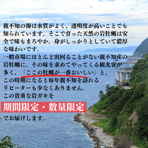 【2024年先行予約】親不知産 天然岩牡蠣(生食用) 大サイズ4個以上 2024年7月20日以降順次発送 鮮度抜群！ 水揚げ直後に発送 日本海 かき カキ 岩ガキ 親不知産 糸魚川 親不知おさかなセン