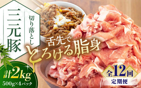 【全12回定期便】 三元豚 切り落とし 計2kg（500g×4パック） 《喜茂別町》【平田牧場】切り落とし 切り落とし 切り落とし 切り落とし 切り落とし 切り落とし   [AJAP037] 240000 240000円 24万円