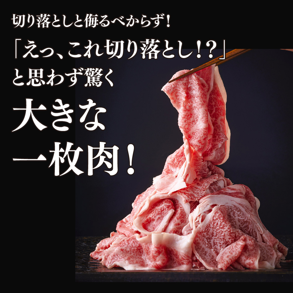 艶さし!【A4～A5】佐賀牛大判霜降り贅沢切り落とし 750g(250g×3P)【佐賀牛 切り落とし 霜降り 肩ロース 大判 一枚肉 薄切り 250g 小分け】(H112341)