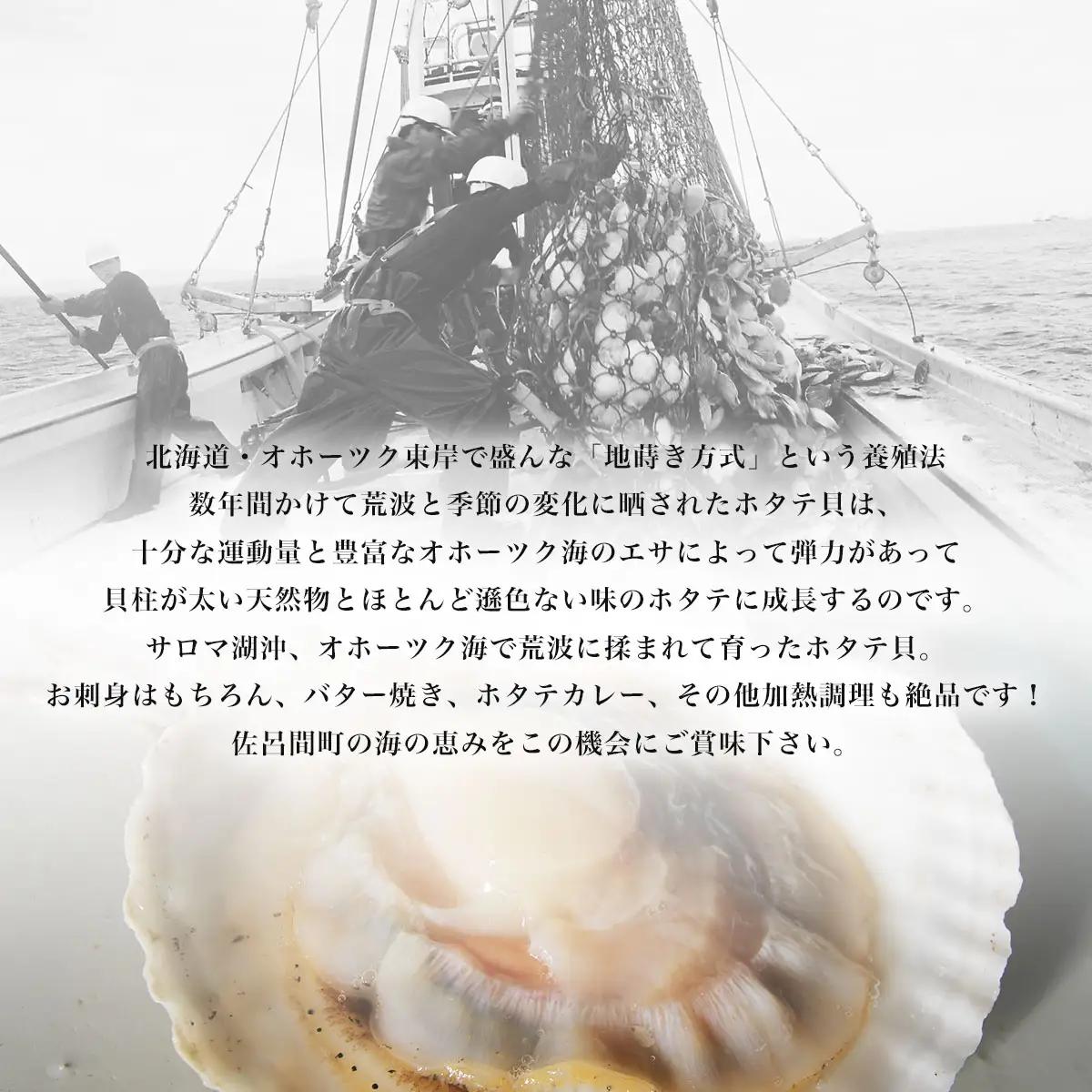 【12月発送限定】オホーツク産 『活』 ほたて 4kg（17～24枚） SRMN030