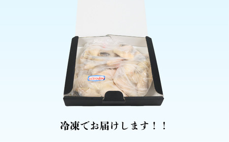 天日干し スズキ切身 干物 3パック 合計36枚 （1パック 1枚20g×12枚） 干物 ﾋﾓﾉ 鱸 ｽｽﾞｷ干物 ﾋﾓﾉ 鱸 ｽｽﾞｷ干物 ﾋﾓﾉ 鱸 ｽｽﾞｷ干物 ﾋﾓﾉ 鱸 ｽｽﾞｷ干物 ﾋﾓﾉ