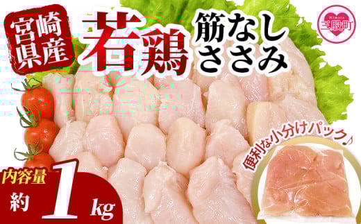 ＜宮崎県産若鶏筋なしささみ 約1kg＞ 国産 鶏 肉 精肉 ささみ ささみ肉 筋なし 使いやすい パック 真空冷凍 お弁当 惣菜 蒸し鶏 数量限定 鶏ささみ 鶏ササミ ササミ 鳥ささみ 鳥ササミ あっさり すじ無し 便利 【MI628-tr】【TRINITY】