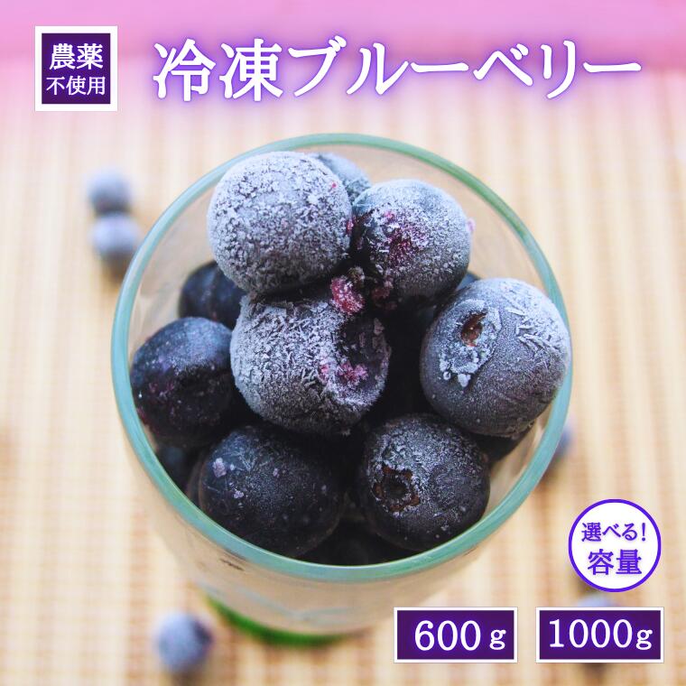 【ふるさと納税】シルクファーム産　冷凍ブルーベリー　600g or 1000g